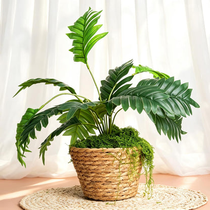 Artificial Green Moss for Crafts & Decor